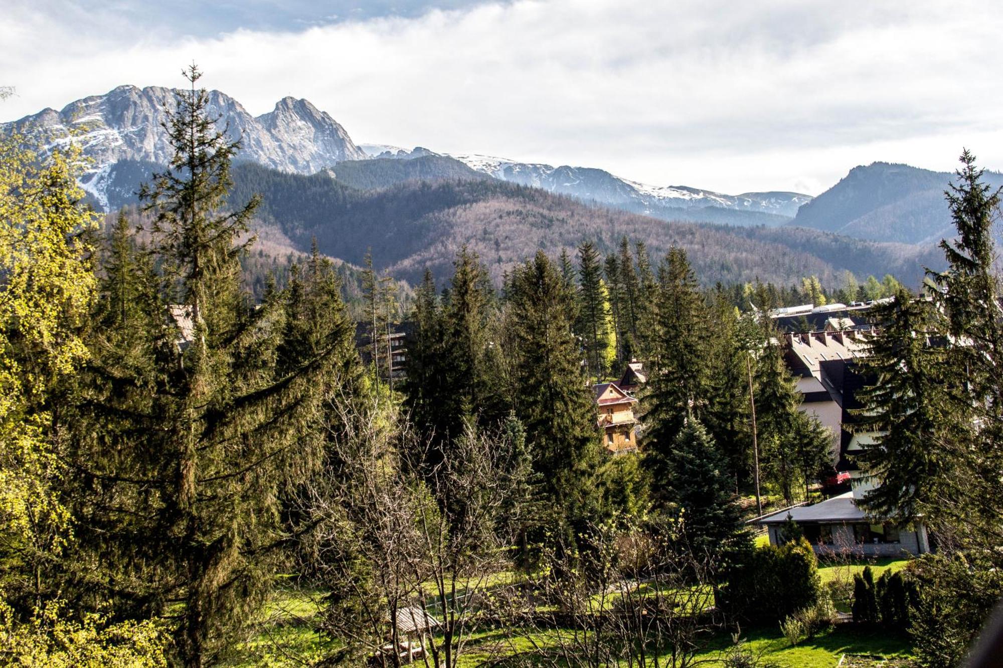 Apartamenty Chata Pod Reglami Zakopane Zimmer foto